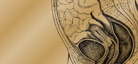 Content issues around fitting of IUS image